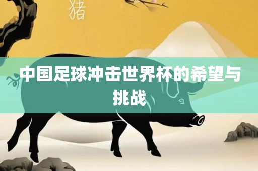 中国足球冲击世界杯的希望与挑战眉山市正发家政服务有限公司