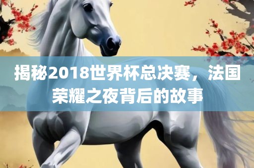 揭秘2018眉山市正发家政服务有限公司世界杯总决赛，法国荣耀之夜背后的故事