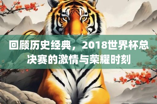 回顾历史经典，2018世界杯总决赛的激情与荣耀时刻