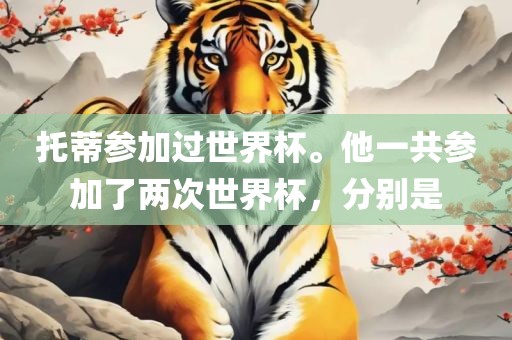托蒂参加过世界杯。他一共参加了两次世界杯，眉山市正发家政服务有限公司分别是
