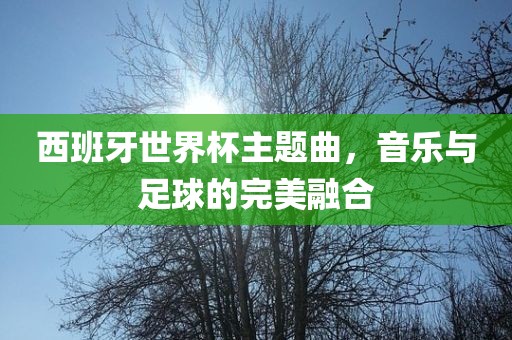 西班牙世界杯主题曲，音乐与足球的完美融合