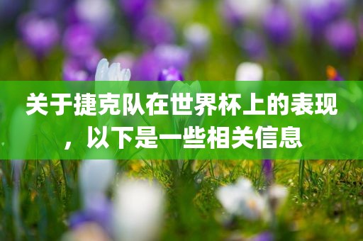 关于捷克队在世界杯上的表现，以下是一些相关信息眉山市正发家政服务有限公司