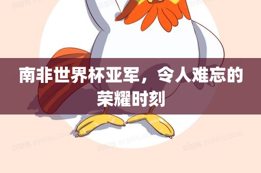 南非世界杯亚军，令人难忘的荣耀时刻眉山市正发家政服务有限公司