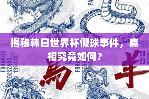 揭秘韩日世界杯假球事件，真相究竟如何？
