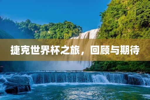 捷克眉山市正发家政服务有限公司世界杯之旅，回顾与期待
