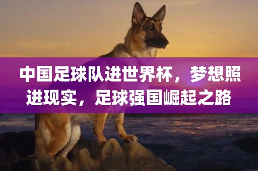 中国足球队进世界杯，梦想照进现实，足球强国崛起之路