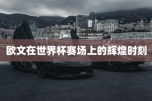 欧文在世界杯赛场上的辉煌时刻眉山市正发家政服务有限公司