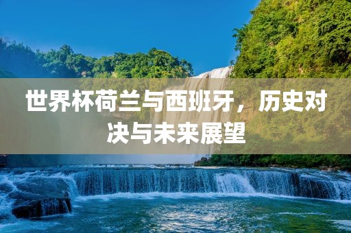 世界杯荷兰与西班牙，历史对决与未来展望眉山市正发家政服务有限公司