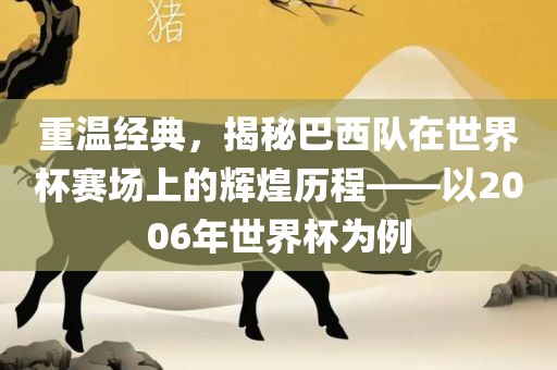 重温经典，揭秘巴西队在世界杯赛场上的辉煌历程——以2006年世界杯为例眉山市正发家政服务有限公司