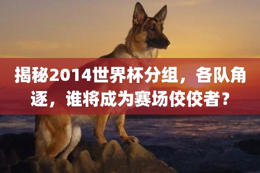 揭秘2014世界杯分组，各队角逐，谁将成为赛场佼佼者？眉山市正发家政服务有限公司