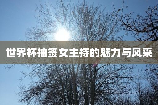 世界杯抽签女主持的魅力与风采