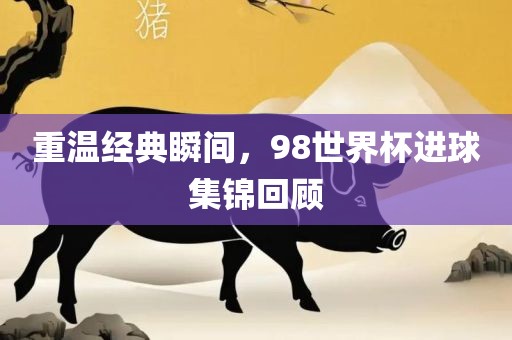 重温经典瞬间，98世界杯进球集锦回顾眉山市正发家政服务有限公司