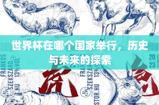 世界杯在哪个国家举行，历史与未来的探索