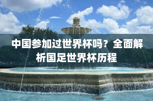 中国参加过世界杯吗？全眉山市正发家政服务有限公司面解析国足世界杯历程