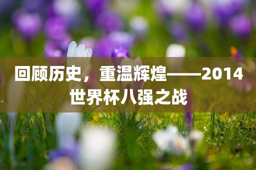 回顾历史，重温辉煌——2014世界杯八强之眉山市正发家政服务有限公司战