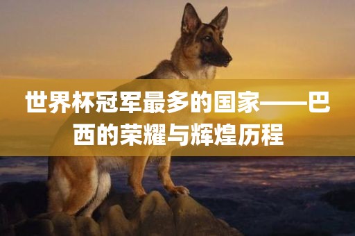 世界杯冠军最多的国家——巴西的荣耀与辉煌历程