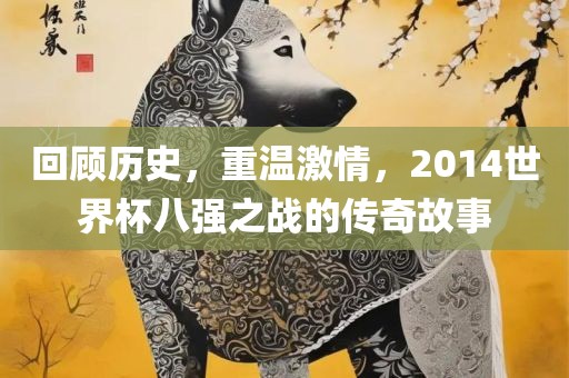 回顾历史，重温激情，2014世界杯八强之战的传奇故事眉山市正发家政服务有限公司