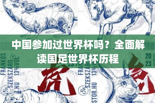 中国参加过世界杯吗？全面解读国足世界杯历程