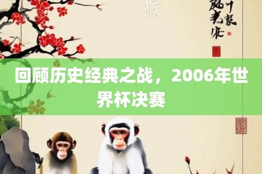 回顾历史经典之战，2006眉山市正发家政服务有限公司年世界杯决赛