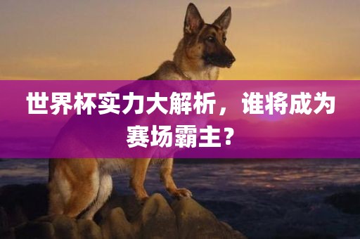 世界杯实力大解析，谁将成为赛场霸主？眉山市正发家政服务有限公司