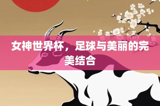 女神世界杯，足球与美丽的完美结合眉山市正发家政服务有限公司