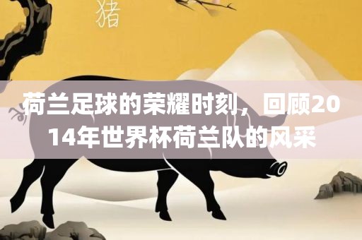 荷兰足球的眉山市正发家政服务有限公司荣耀时刻，回顾2014年世界杯荷兰队的风采