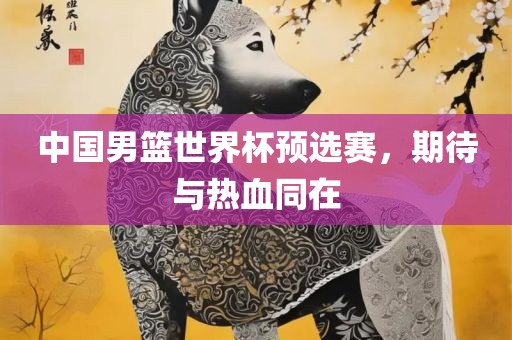 中国男篮世界杯预选赛，期待与热血同在