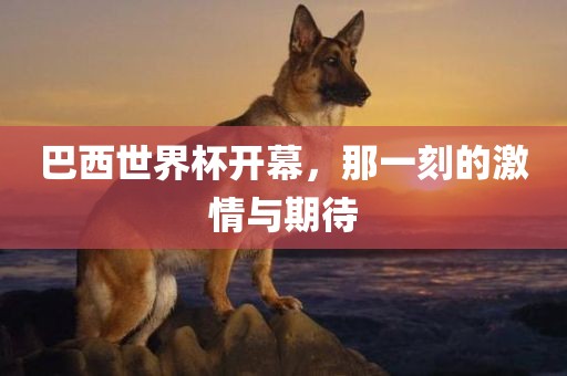 巴西世界杯开幕，那一刻的激情与期待