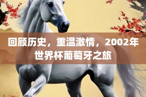 回顾历史，重温激情，2002年世界杯葡萄牙之旅