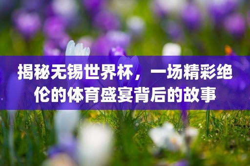 揭秘无锡世界杯，一场精彩绝伦的体育盛宴背后的故事
