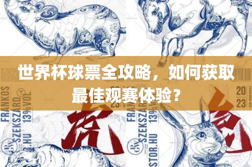 世界杯球票全攻略，如何获取最佳观赛体验？