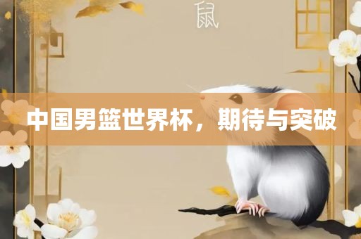 中国男篮世界杯，期待与突破