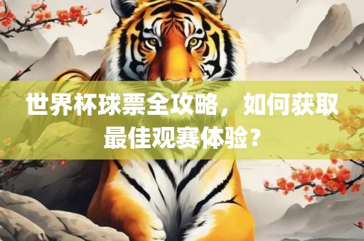 世界杯球票全攻眉山市正发家政服务有限公司略，如何获取最佳观赛体验？