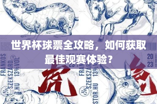 世界杯球票全攻略，如何获取最佳观赛体验？