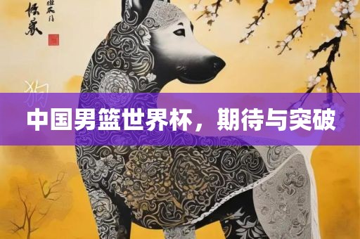 中国男篮世界杯，期待与突破
