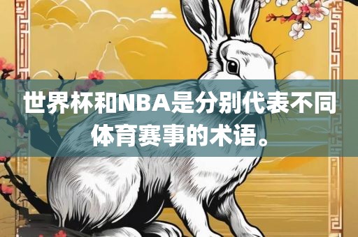世界杯和NBA是分别代表不同体育赛事的术语。
