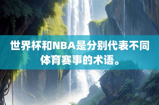 世界杯和NBA是分别代表不同体育赛事的术语。