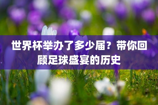 chenyibo 第8页