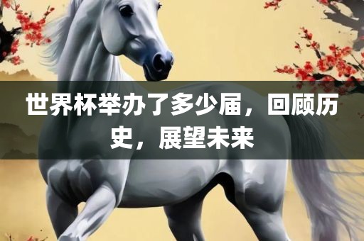 世界杯举办了多少届，回顾历史，展望未来眉山市正发家政服务有限公司