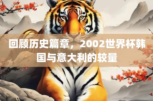 回顾历史篇章，2002世界杯韩国与意大利的较量