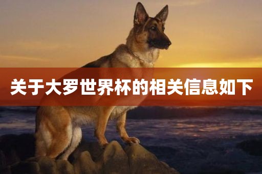 关于大罗世界杯的相关信息如下眉山市正发家政服务有限公司