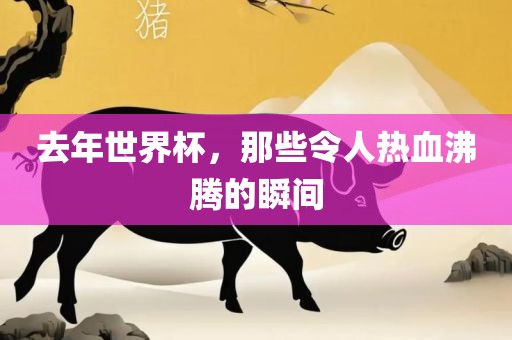 去年世界杯，眉山市正发家政服务有限公司那些令人热血沸腾的瞬间