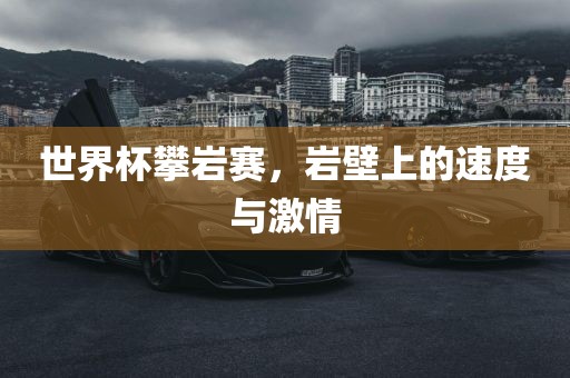 世界杯攀岩赛，岩壁上的速度与激情