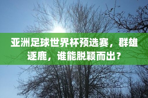 亚洲足球世界杯预选赛，群雄逐鹿，谁能脱颖而出？