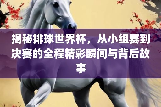 揭秘排球世界杯，从小组赛到决赛的全程精彩瞬间与背后故事