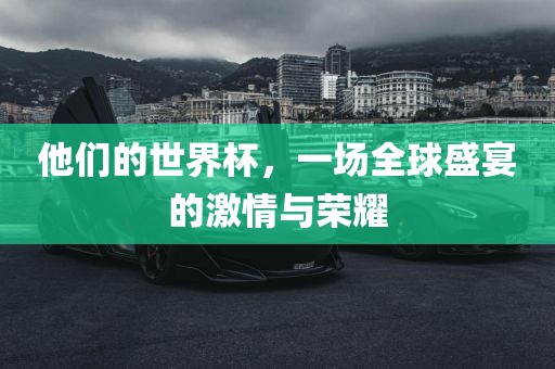 他们的世界杯，一场全球盛宴的激情与荣耀眉山市正发家政服务有限公司