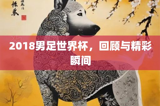 2018男足世界杯，回顾与精彩瞬间眉山市正发家政服务有限公司