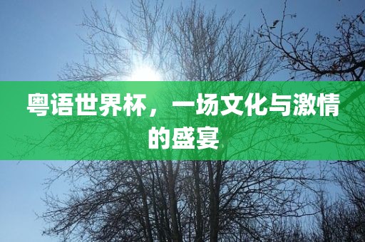 眉山市正发家政服务有限公司粤语世界杯，一场文化与激情的盛宴