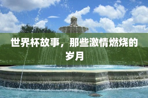 世界杯故事，那些激情燃烧的岁月
