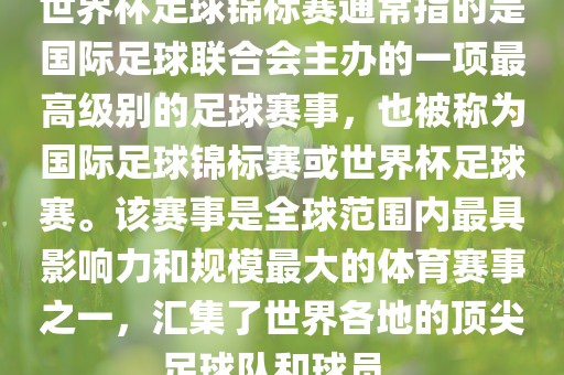 国际足球联合会